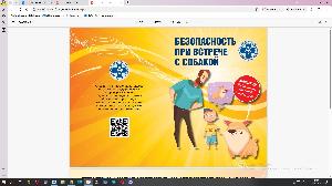 Как обезопасить себя при встрече с собаками